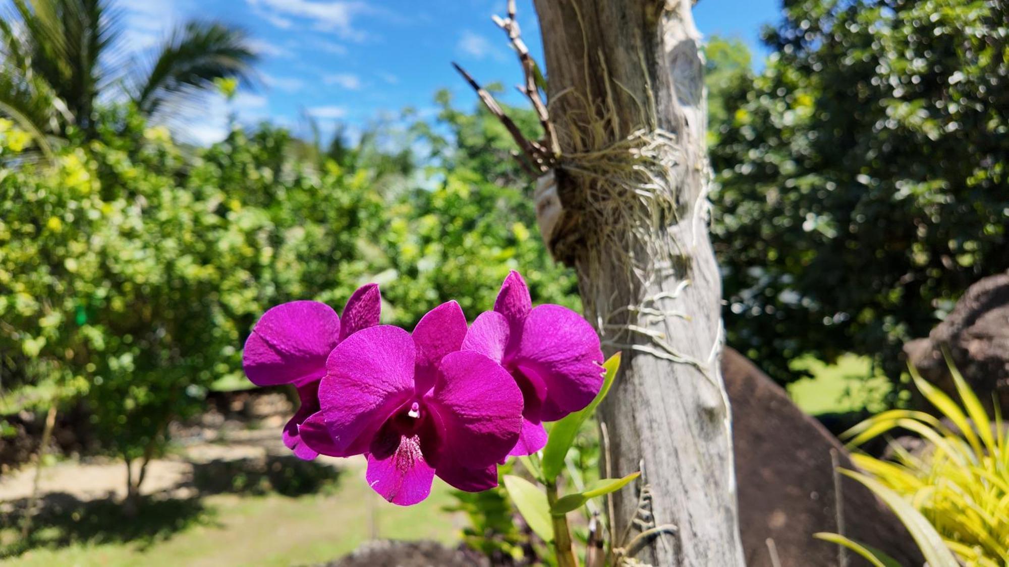 Tongatok Cliff Resort Mambajao Bagian luar foto